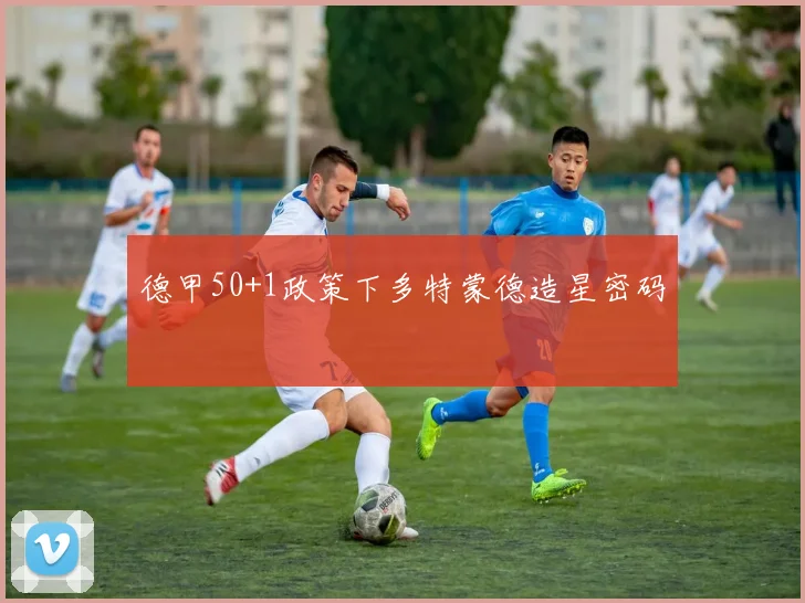 德甲50+1政策下多特蒙德造星密码