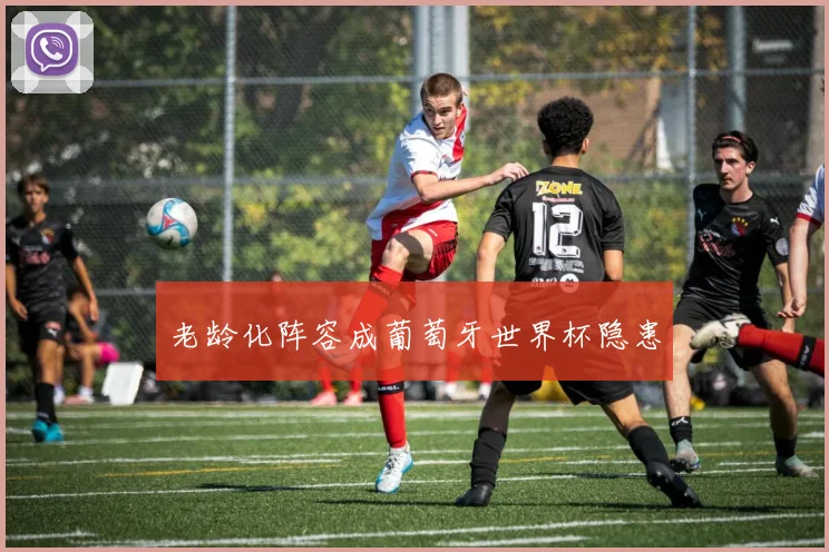 老龄化阵容成葡萄牙世界杯隐患