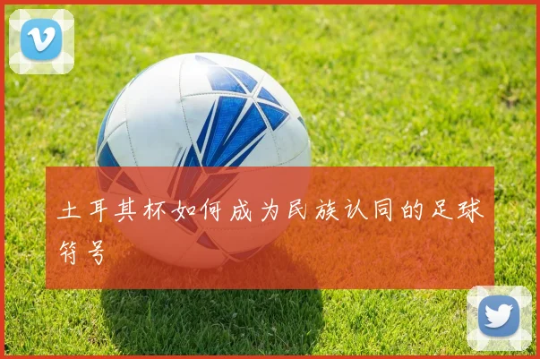 土耳其杯如何成为民族认同的足球符号