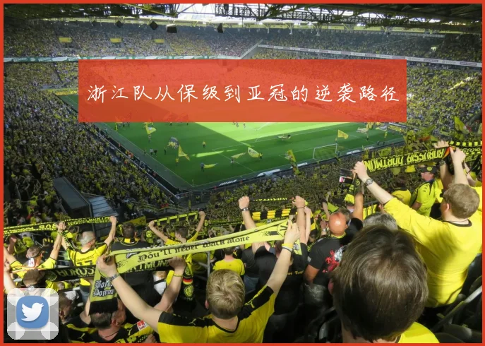 浙江队从保级到亚冠的逆袭路径