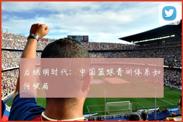 后姚明时代：中国篮球青训体系如何破局