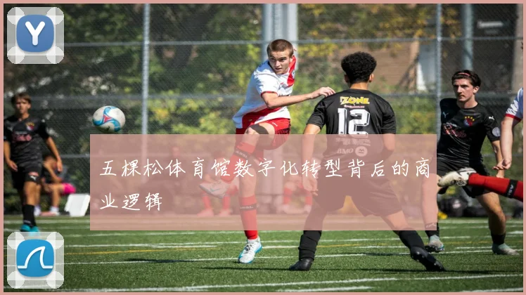 五棵松体育馆数字化转型背后的商业逻辑