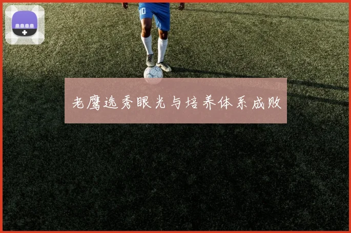 老鹰选秀眼光与培养体系成败