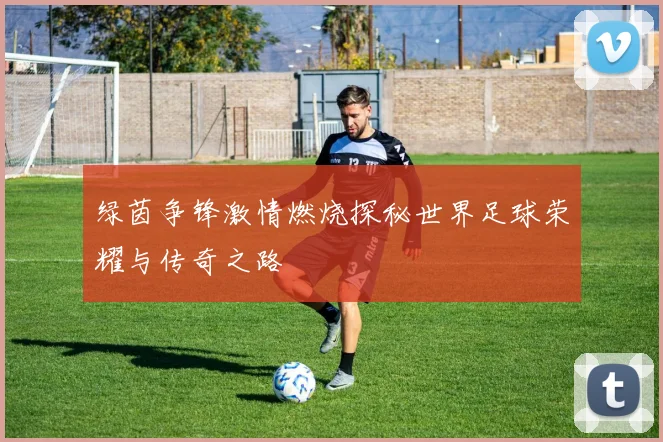 绿茵争锋激情燃烧探秘世界足球荣耀与传奇之路
